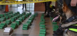 Canes adiestrados en la detecci&oacute;n de droga ayudaron a descubrir el alijo en un cargamento de banano.