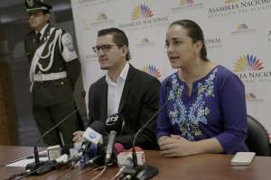 El an&aacute;lisis permitir&aacute; detectar los nudos cr&iacute;ticos de la normativa. Foto: Cortes&iacute;a de la Asamblea Nacional.