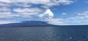 IG registra disminuci&oacute;n en la actividad eruptiva de volc&aacute;n en isla Fernandina