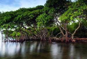 Los recursos provienen del Fondo Verde para el Clima y se ejecutar&aacute;n durante seis a&ntilde;os.