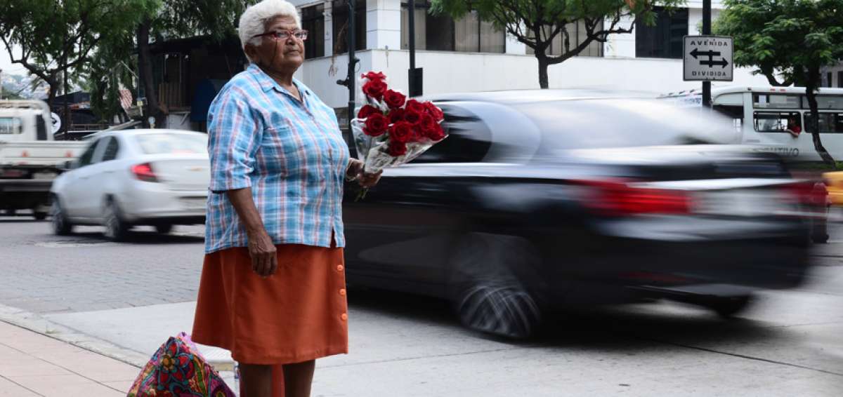 Las flores son el &lsquo;ant&iacute;doto&rsquo; que toma Fel&iacute;cita contra la artrosis