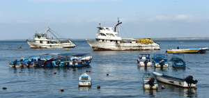 Las autoridades competentes de Ecuador indicaron que el sector pesquero brinda el apoyo necesario para combatir la pesca ilegal, no declarada y no reglamentada.