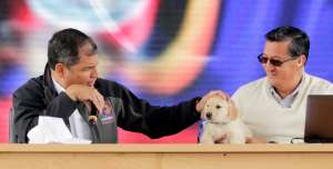 En el marco del enlace ciudadano, el presidente Correa realiz&oacute; el sorteo del Iskun (nueve en kichwa), uno de los cachorros de sus mascotas Segismundo y Melibea. Cortesia de la Presidencia