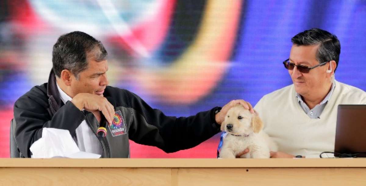 En el marco del enlace ciudadano, el presidente Correa realiz&oacute; el sorteo del Iskun (nueve en kichwa), uno de los cachorros de sus mascotas Segismundo y Melibea. Cortesia de la Presidencia