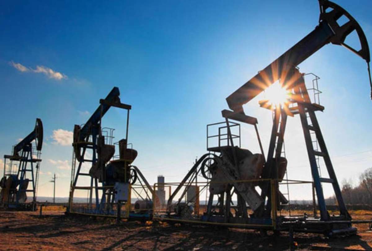 Petroecuador prev&eacute; ingresos por USD 644,8 millones tras adjudicar exportaciones