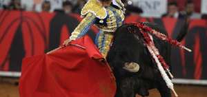 Constitucional de Espa&ntilde;a anula prohibici&oacute;n de matar toros en corridas de Baleares