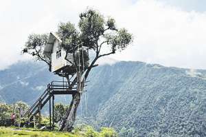 La casa del &aacute;rbol, un mirador con historia