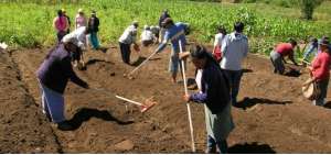 D&iacute;a Mundial de la Agricultura: Entre la crisis y el miedo, un pasaporte al futuro