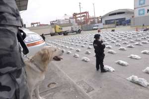 La Polic&iacute;a verificar&aacute; en los centros de carga que el contenedor sea sellado y no pueda ser abierto en el camino. Karly Torres / El Tel&eacute;grafo