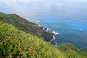 Las islas Pitcairn son un Territorio Brit&aacute;nico de Ultramar y la &uacute;nica colonia brit&aacute;nica que queda en el oc&eacute;ano Pac&iacute;fico. Foto: Leonardo Boix / El Tel&eacute;grafo