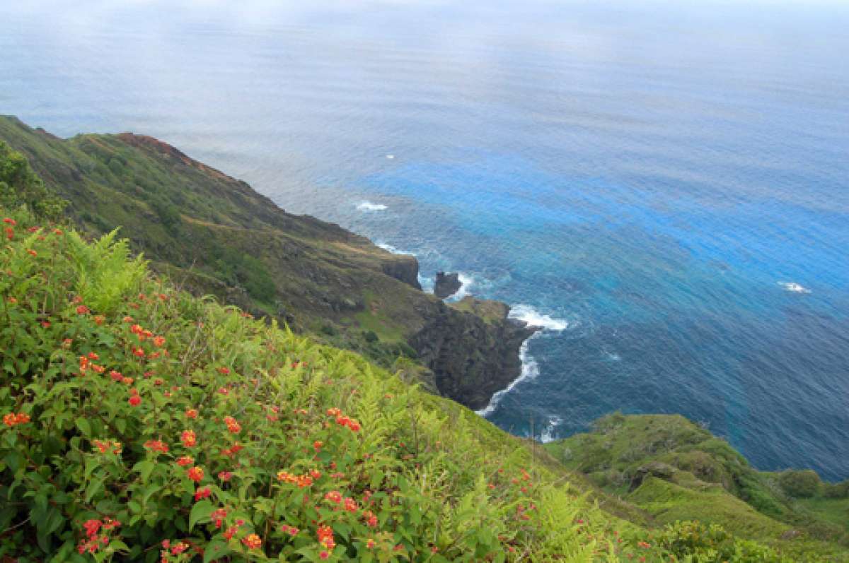 Las islas Pitcairn son un Territorio Brit&aacute;nico de Ultramar y la &uacute;nica colonia brit&aacute;nica que queda en el oc&eacute;ano Pac&iacute;fico. Foto: Leonardo Boix / El Tel&eacute;grafo