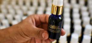La industrializaci&oacute;n del cannabis con fines medicinales est&aacute; siendo efectuada por empresas farmac&eacute;uticas en el Departamento del Cauca en Colombia.