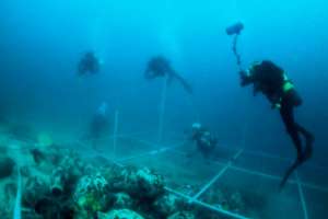 Restos hallados frente a las costas de Hait&iacute; no son de la Santa Mar&iacute;a