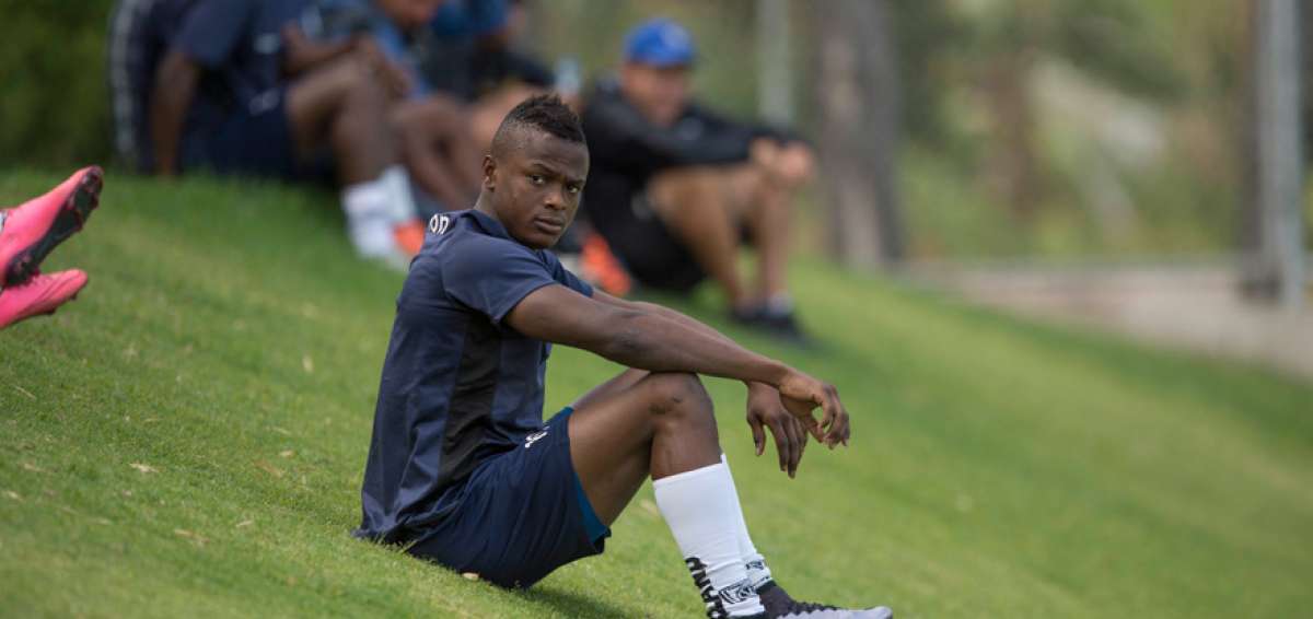 El delantero esmeralde&ntilde;o Jos&eacute; Angulo debut&oacute; con Independiente en 2015, disput&oacute; 45 partidos y anot&oacute; 23 goles en campeonato local y Copa Libertadores.  