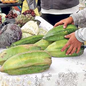Ferias re&uacute;nen a 450 productores