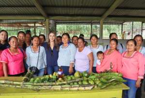 El analfabetismo en mujeres ind&iacute;genas alcanza el 7,9%.