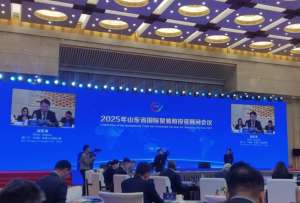 La conferencia de Shandong contó con la presencia de 15 asesores de empresas de renombre como Siemens. 