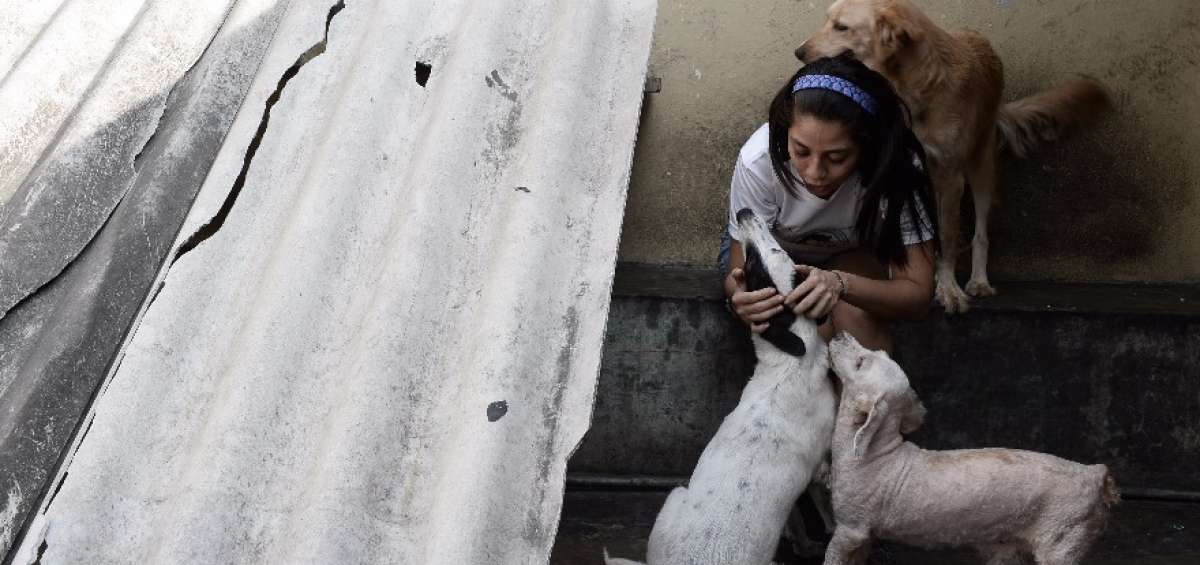 El amor por los animales hizo que Katiusca Delgado se convirtiera en una activista que lucha por sus derechos. El primer perro que rescat&oacute; de la calle lo convirti&oacute; en su mascota, cuando ten&iacute;a 4 a&ntilde;os. Ahora tiene en su casa un refugio. 