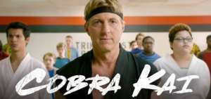 Los autores eligieron colocar en el centro de la historia a Johny Lawrence, cuya presencia se justificaba solo como oposici&oacute;n a Daniel LaRusso en la pel&iacute;cula original.