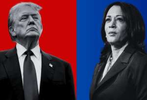 Así avanzan las elecciones en Estados Unidos.