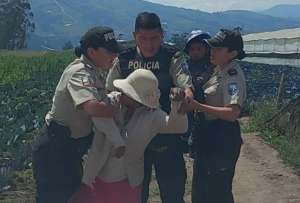 El caso de una mujer de Ambato que golpeó salvajemente a un niño fue detenida por la Policía Nacional. 
