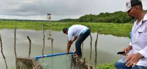Cada d&iacute;a, los nuevos due&ntilde;os de esta camaronera en el Golfo de Guayaquil inspeccionan las estructuras de las piscinas para impedir que alg&uacute;n inconveniente afecte su producci&oacute;n.