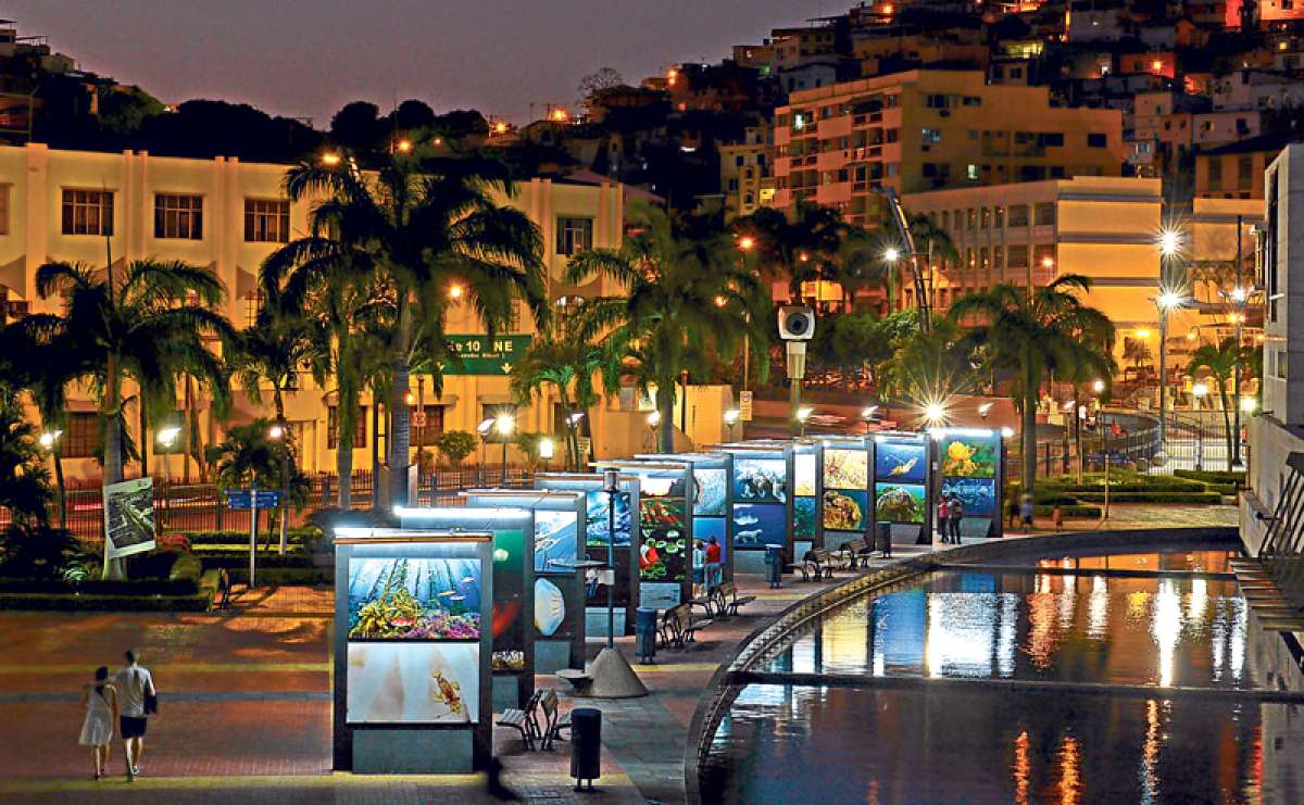 Muestra de arte marino en el Malec&oacute;n
