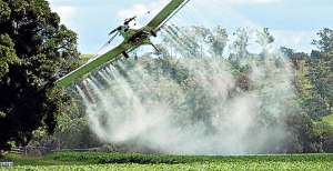 El 81% de la producci&oacute;n de coca se concentra en 6 departamentos de Colombia