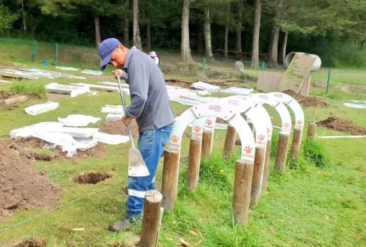 La Empresa Pública Metropolitana de Movilidad y Obras Públicas (EPMMOP) realiza el reemplazo de los juegos para los perros.