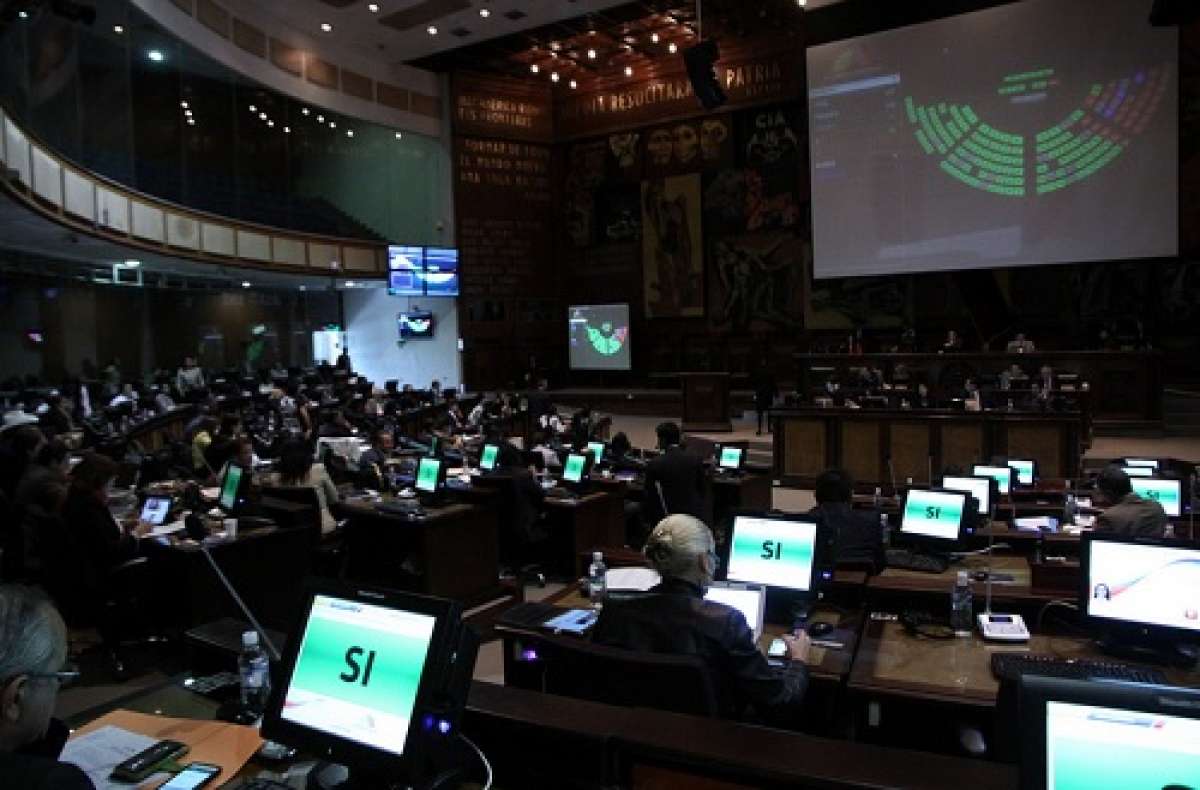 El Legislativo enviar&aacute; la norma al Registro Oficial. Foto: Asamblea
