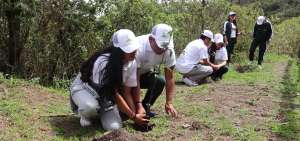 En el sendero El Viento, de la Reserva Geobot&aacute;nica Pululahua, m&aacute;s de 150 voluntarios participaron en la siembra de 300 &aacute;rboles nativos.