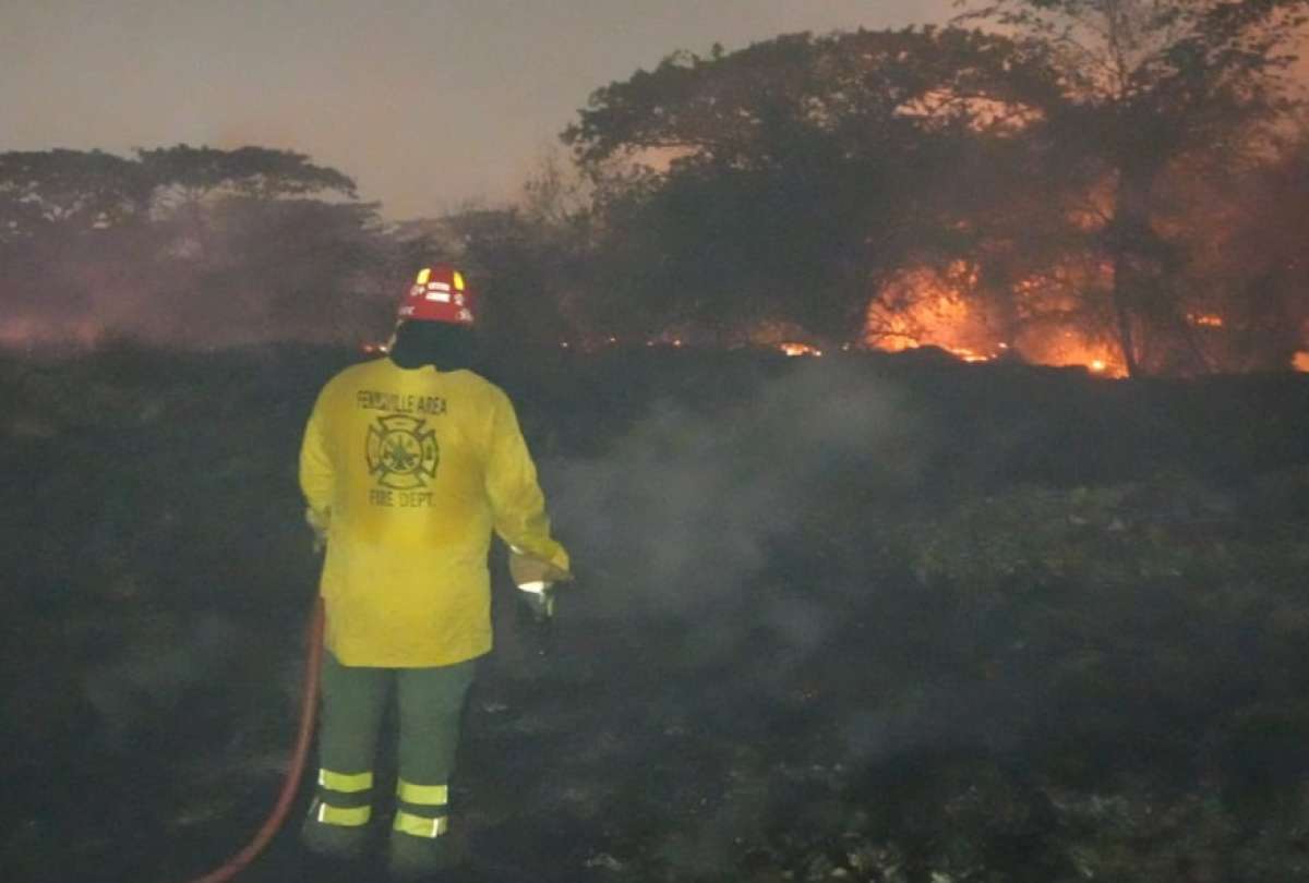 El incendio forestal consumi&oacute; cuatro hect&aacute;reas