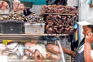  Los mercados tuvieron oportunidad hasta ayer para comercializar el producto sacado del manglar. Foto: Marco Salgado.