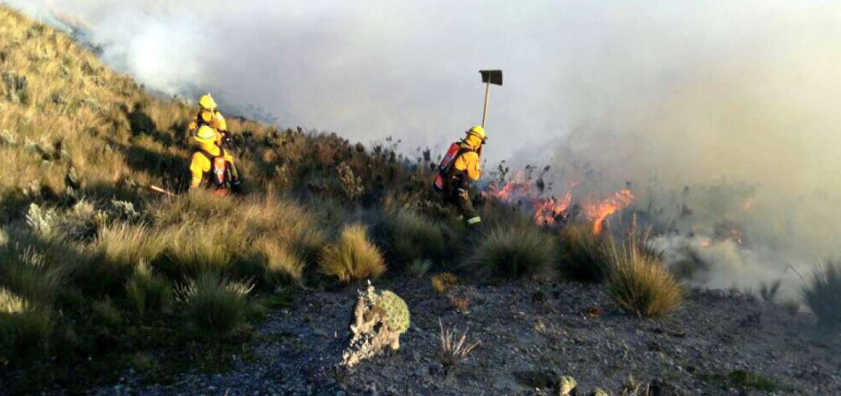 59 bomberos combaten incendio en el cerro Atacazo