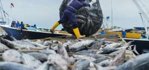Proyecto de Ley de Pesca ya est&aacute; en manos del Ejecutivo