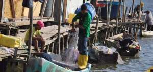 Los pescadores de Chamanga reanudan sus labores en el estuario y en la costa