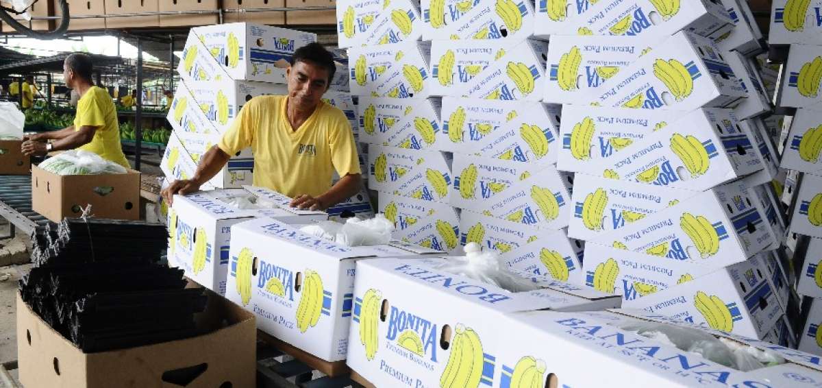 La llegada del banano ecuatoriano al mercado de la UE fue uno de los temas sensibles tratados en la sesi&oacute;n del parlamento europeo.