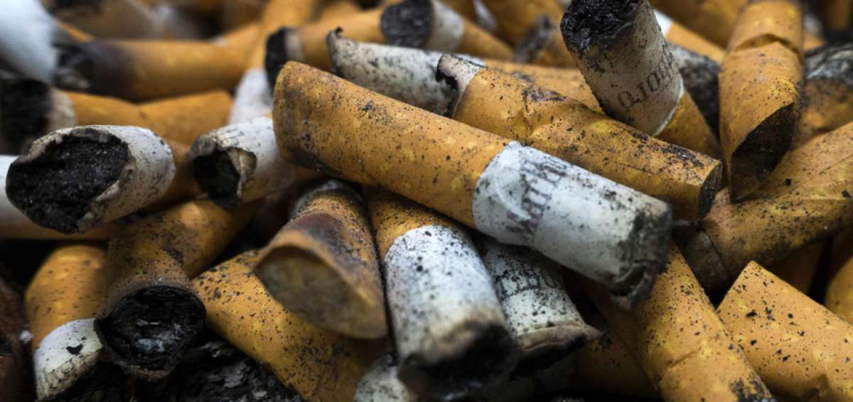 El consumo de cigarrillo est&aacute; vinculado con el c&aacute;ncer de boca, es&oacute;fago, est&oacute;mago, h&iacute;gado, colon, entre otros. La incidencia en los hombres es mayor.  