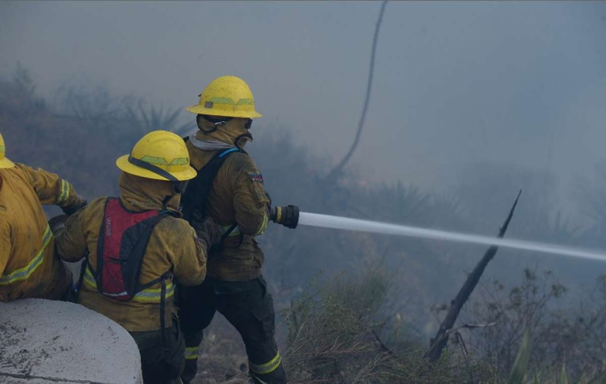 Foto: &Aacute;lvaro P&eacute;rez / El Tel&eacute;grafo 