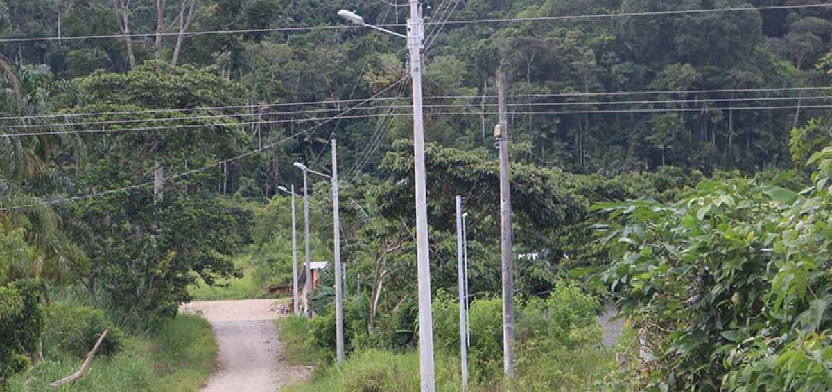La electrificaci&oacute;n beneficia y optimiza el diario vivir de los habitantes del cant&oacute;n oriental ubicado en la provincia de Zamora Chinchipe.