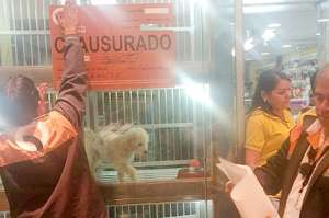 Foto: Tomada de cuenta de Facebook de PAE. 
