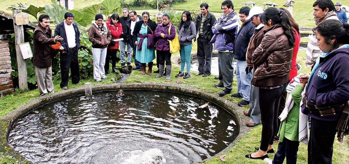 Los t&eacute;cnicos del Magap verifican frecuentemente las piscinas de la comuna Llullal&oacute; a fin de garantizar la reproducci&oacute;n de truchas.