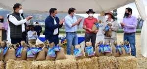 Agricultores de la regi&oacute;n Sierra reciben nueva variedad de avena