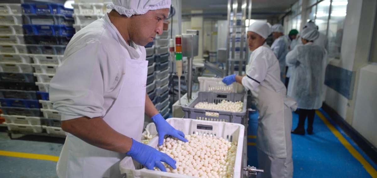 La norma eleva a 25% el impuesto a la renta para las grandes empresas; las mipymes seguir&aacute;n con el 22%.