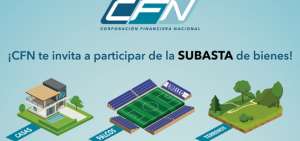 Quedan pocos d&iacute;as para la subasta de bienes de la CFN