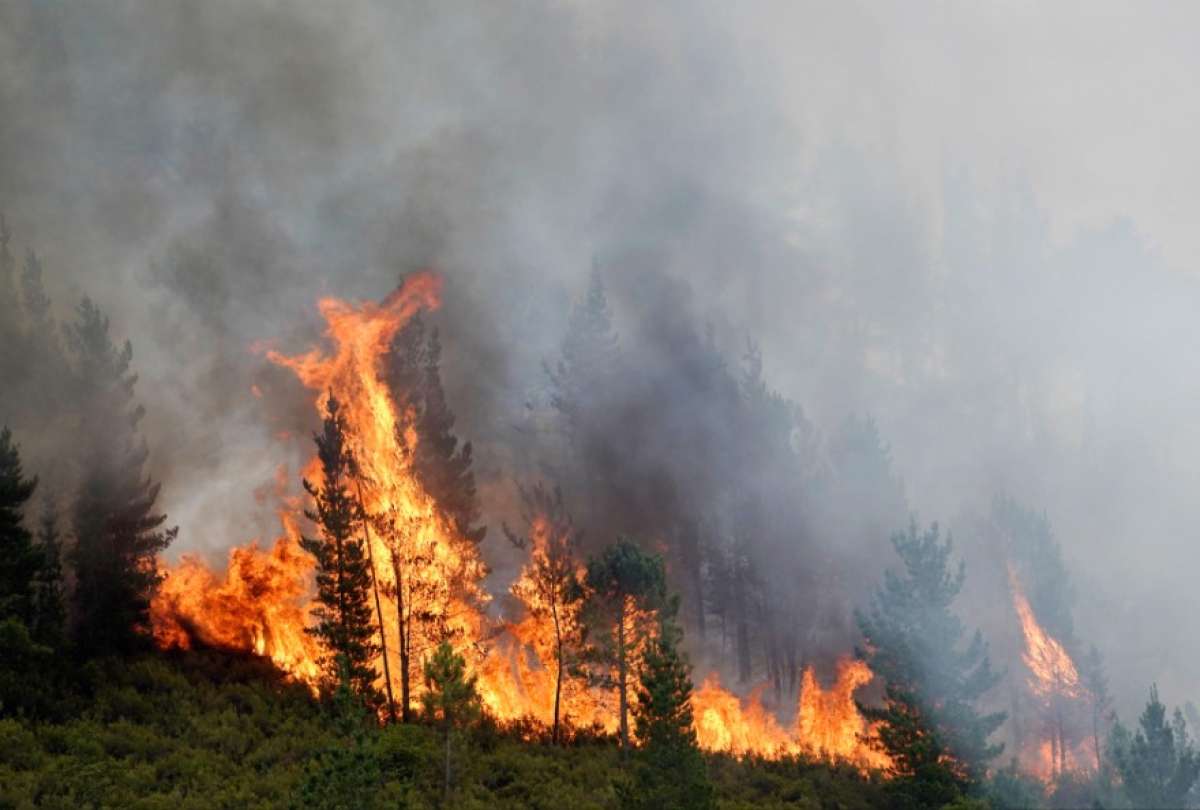 Los incendios forestales han sido una de las problemáticas que ha afrontado Ecuador por el cambio climático.