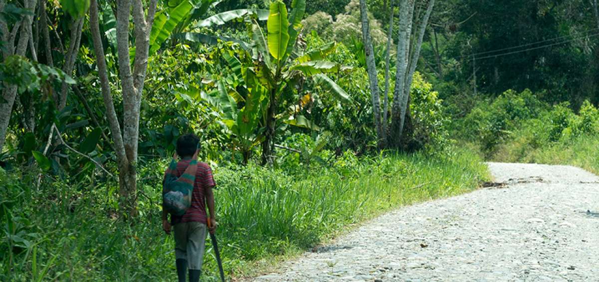 El COA establece el principio in dubio pro natura, que en caso de duda sobre el riesgo de una actividad se aplicar&aacute; la que m&aacute;s favorezca a la naturaleza. 