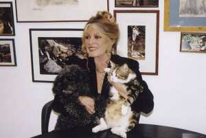 Brigitte Bardot, fulgurante estrella del s&eacute;ptimo arte en los a&ntilde;os 60, volcada despu&eacute;s a la protecci&oacute;n animal. Foto internet 