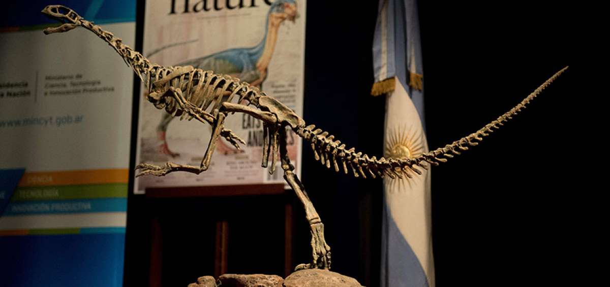 La cabeza de la especie pertenece a un carn&iacute;voro, pero tiene dentadura para triturar los vegetales.