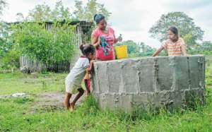 En Poza Seca, las familias trabajan en las plataneras